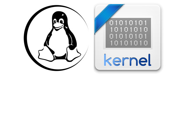 Linux Kernel